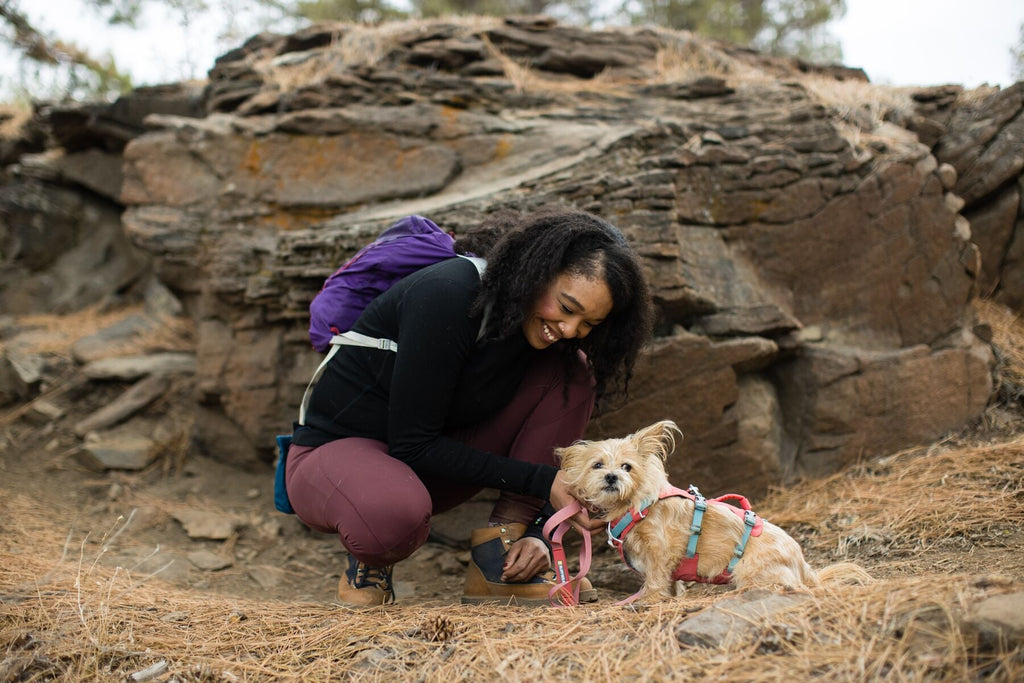 Dog Harness product image 65