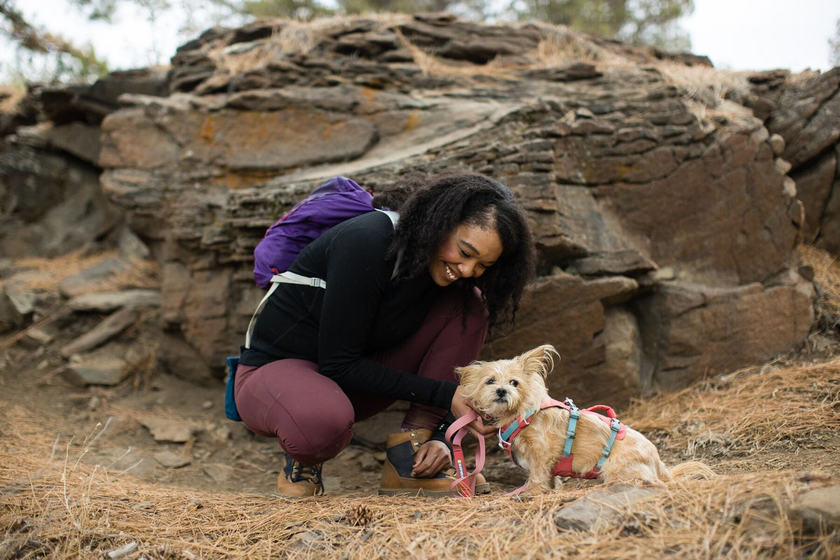 Dog Harness product image 65