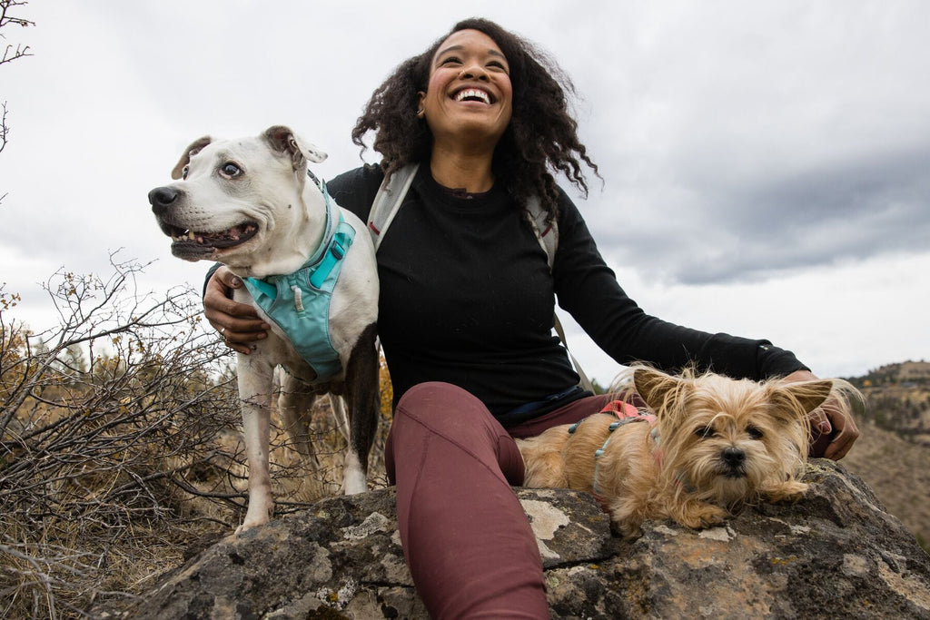 Dog Harness product image 66