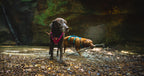 Dog Harness product image 67