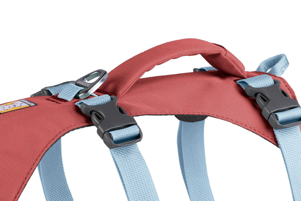 Dog Harness product image 77