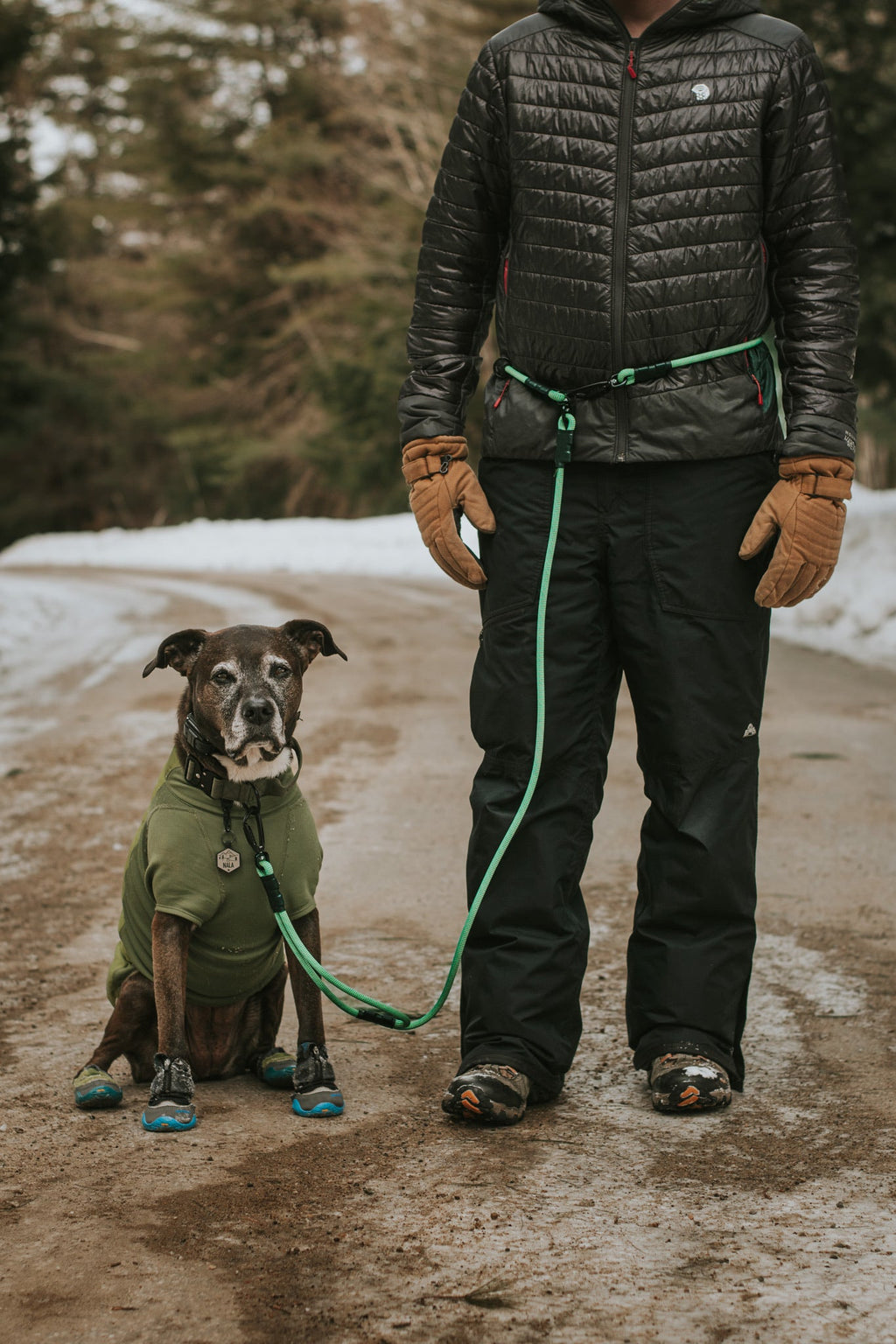 Hands-Free Dog Leash product image 2