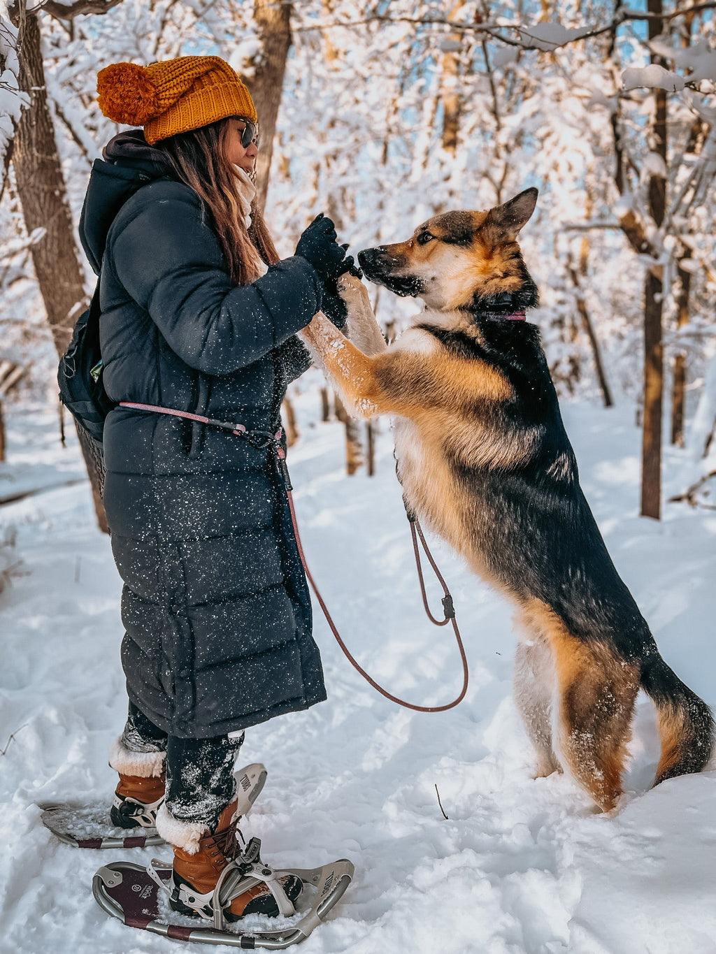 Hands-Free Dog Leash product image 3