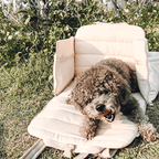 Soft-Sided Pet Carrier product image 4