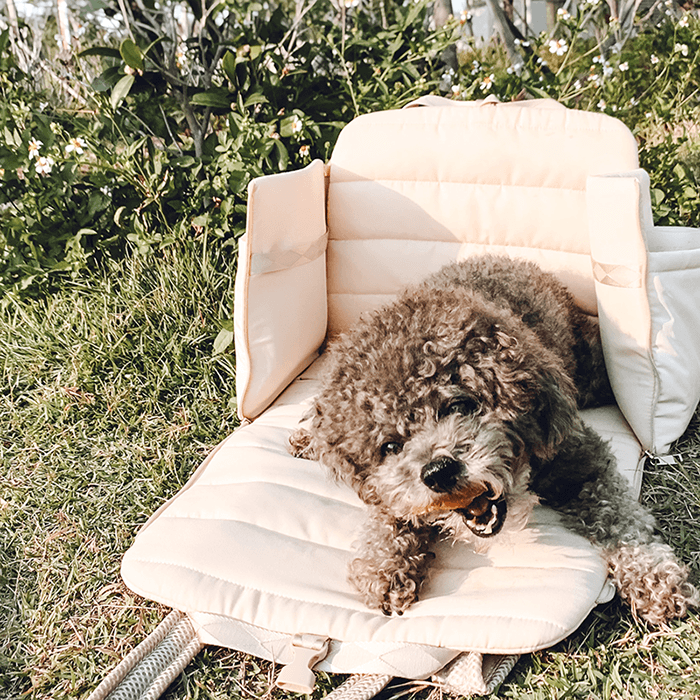 Soft-Sided Pet Carrier product image 4