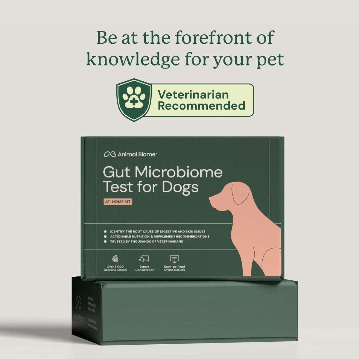 Dog Gut Microbiome Test Kit product image 2