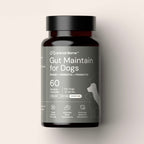 Dog Probiotic Supplement product image 1