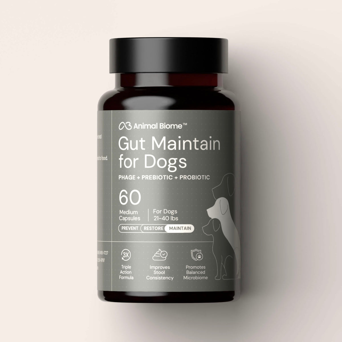 Dog Probiotic Supplement product image 1