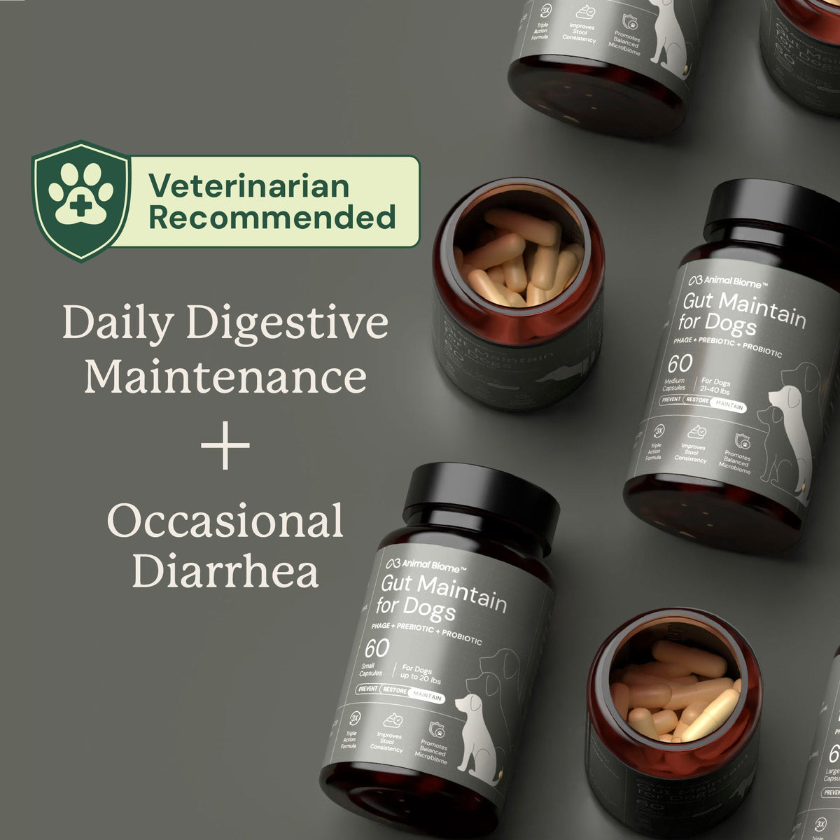 Dog Probiotic Supplement product image 2