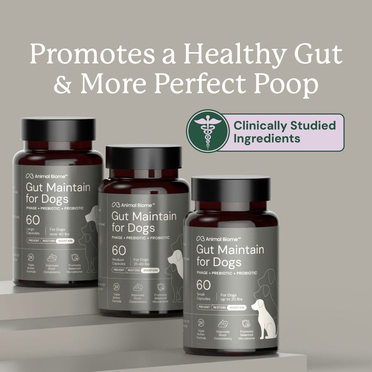 Dog Probiotic Supplement product image 3