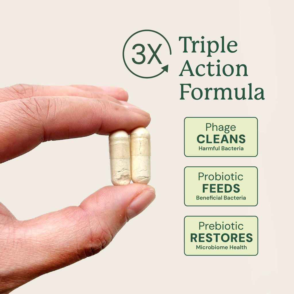 Dog Probiotic Supplement product image 4