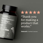 Dog Probiotic Supplement product image 5