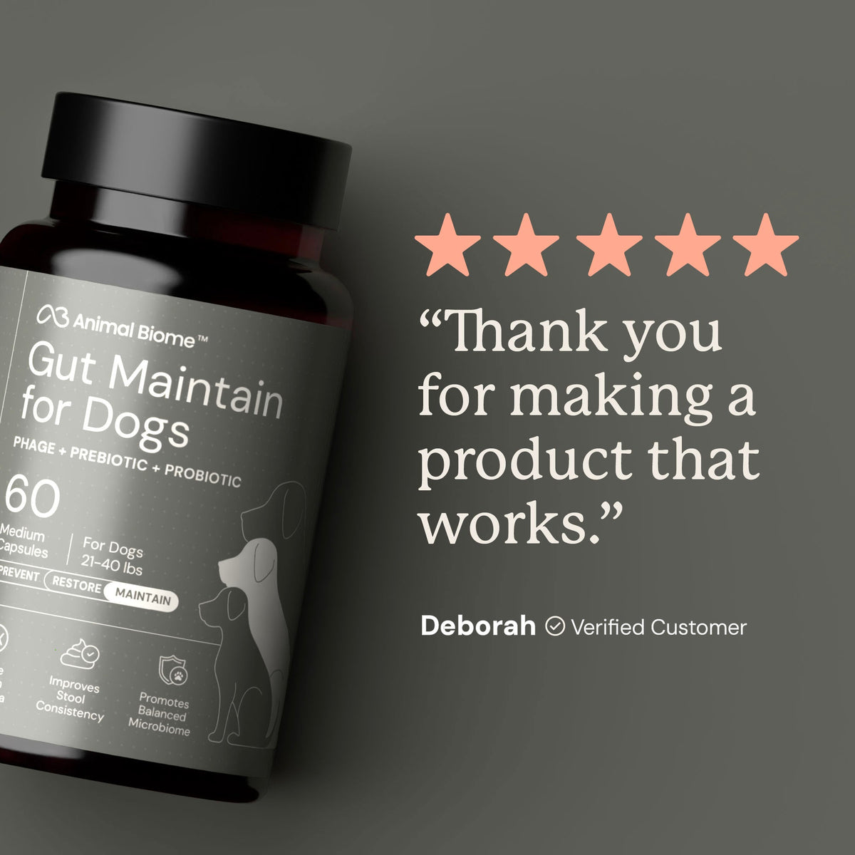 Dog Probiotic Supplement product image 5