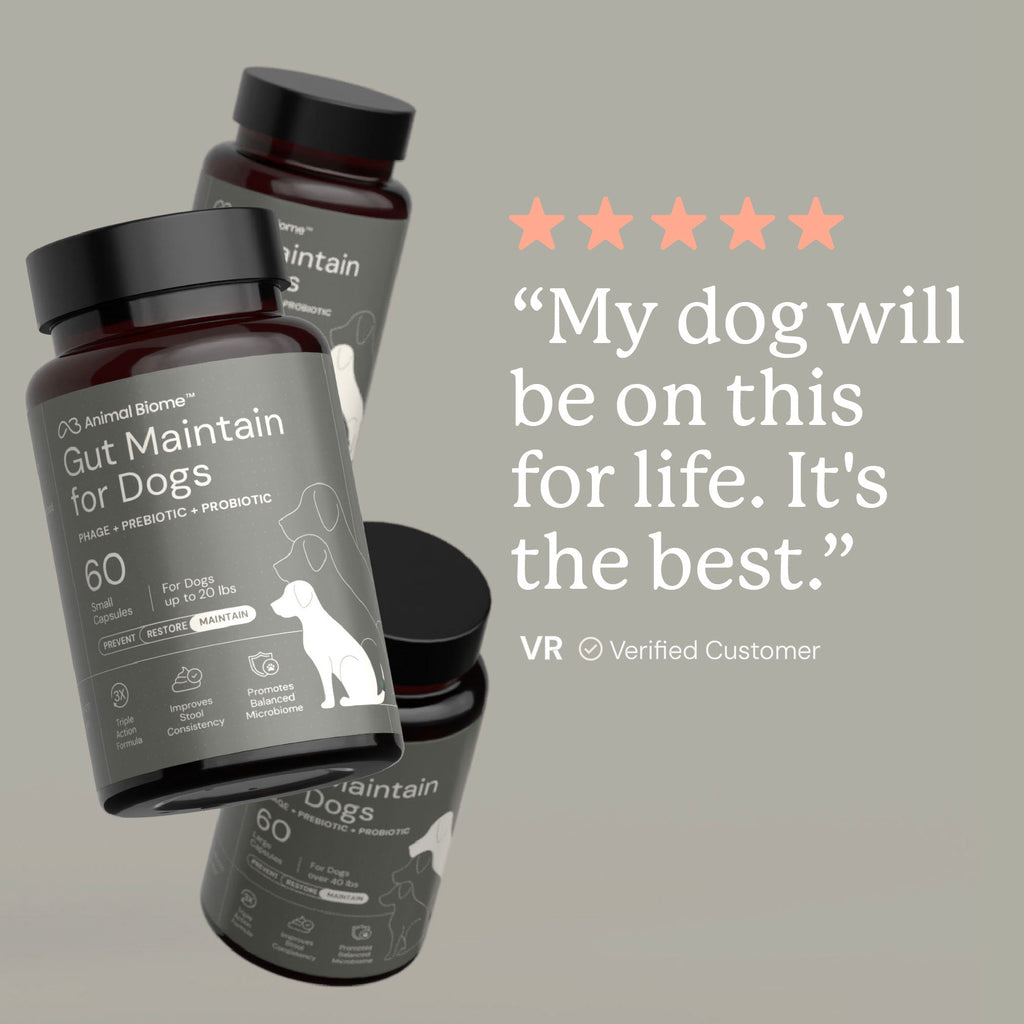 Dog Probiotic Supplement product image 6