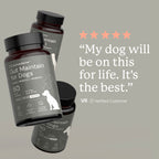 Dog Probiotic Supplement product image 6