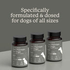 Dog Probiotic Supplement product image 8