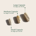 Dog Probiotic Supplement product image 9