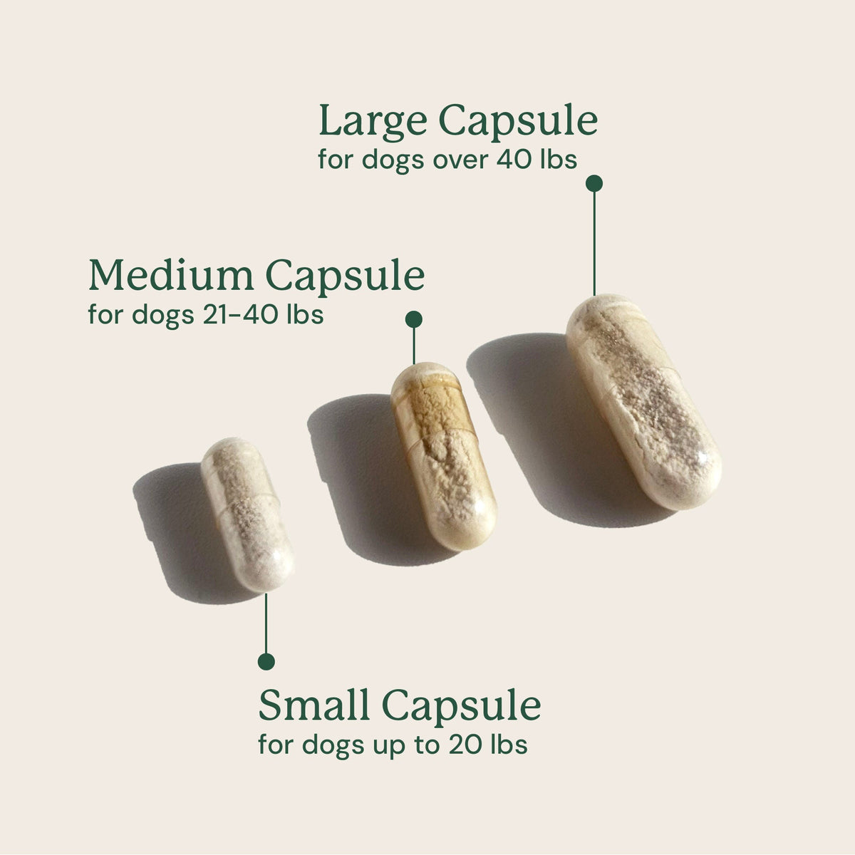 Dog Probiotic Supplement product image 9