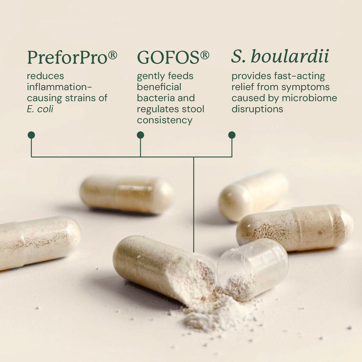Dog Probiotic Supplement product image 10