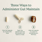 Dog Probiotic Supplement product image 11