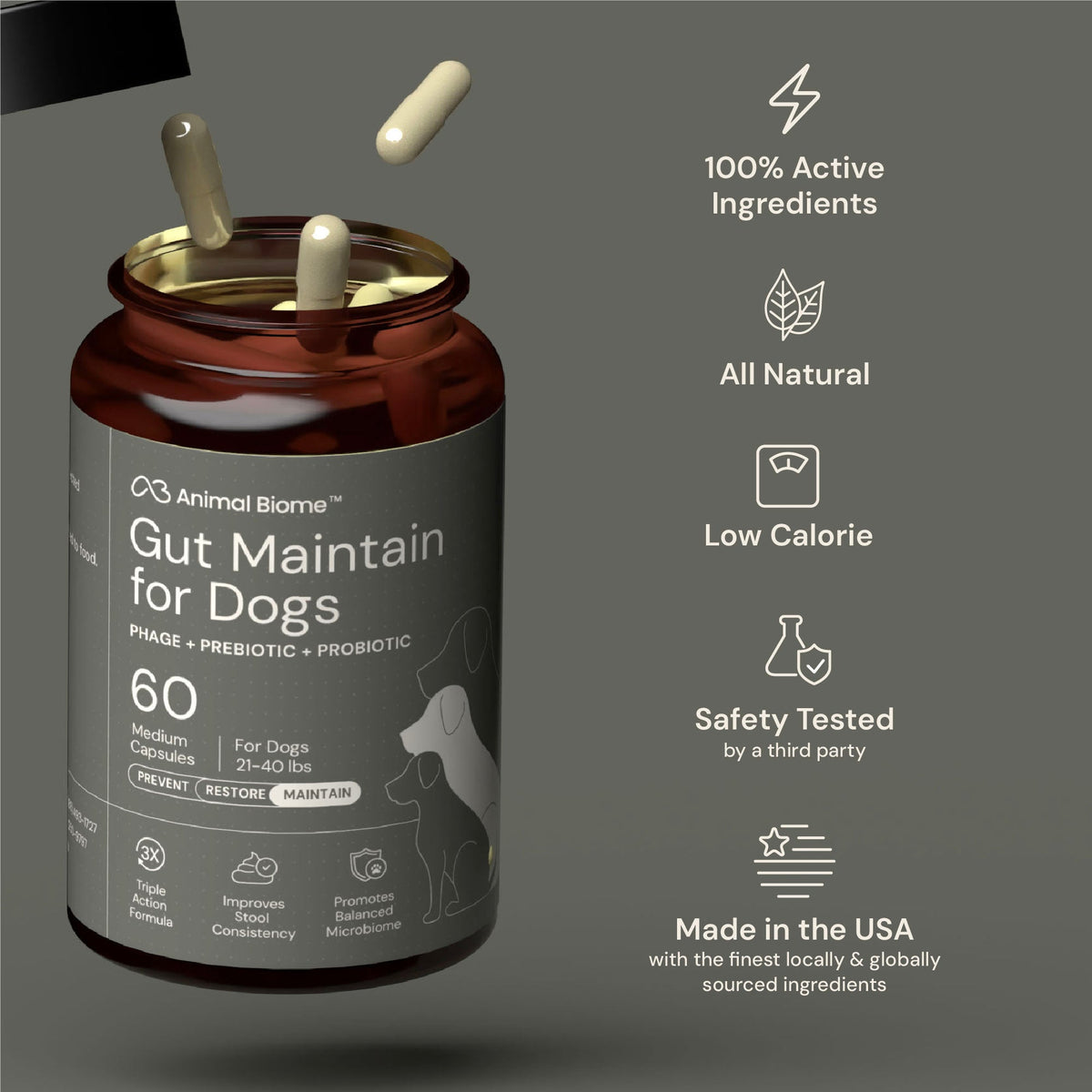 Dog Probiotic Supplement product image 12