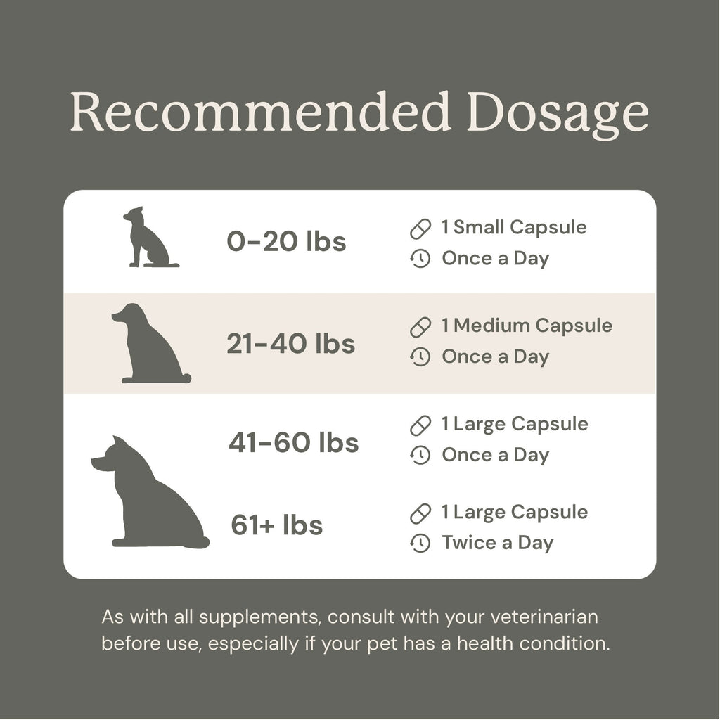 Dog Probiotic Supplement product image 13