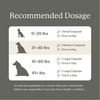 Dog Probiotic Supplement product image 13