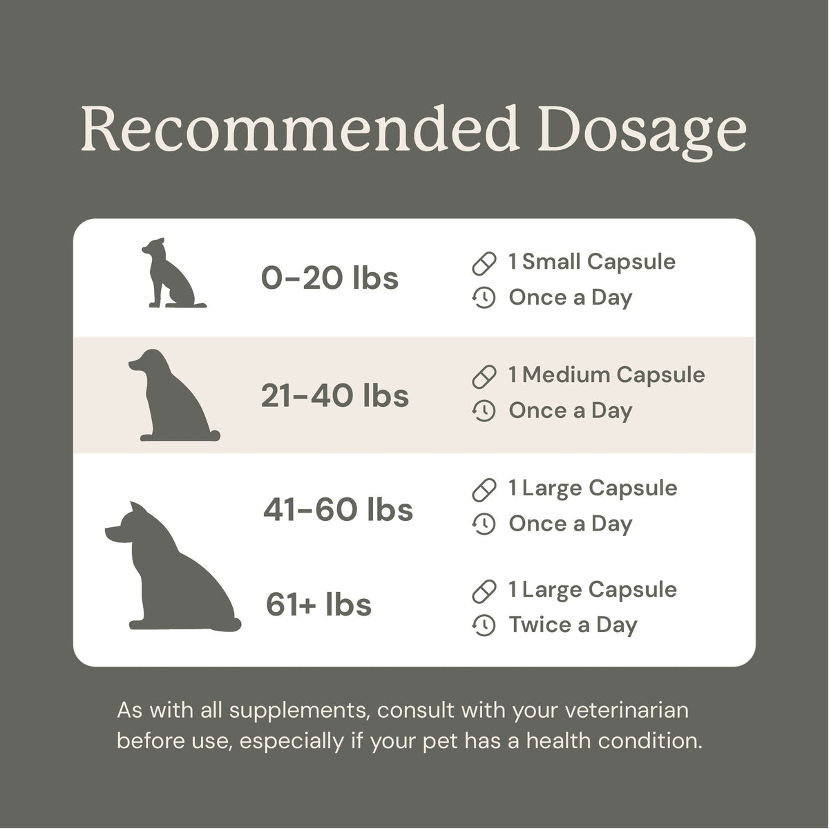 Dog Probiotic Supplement product image 13