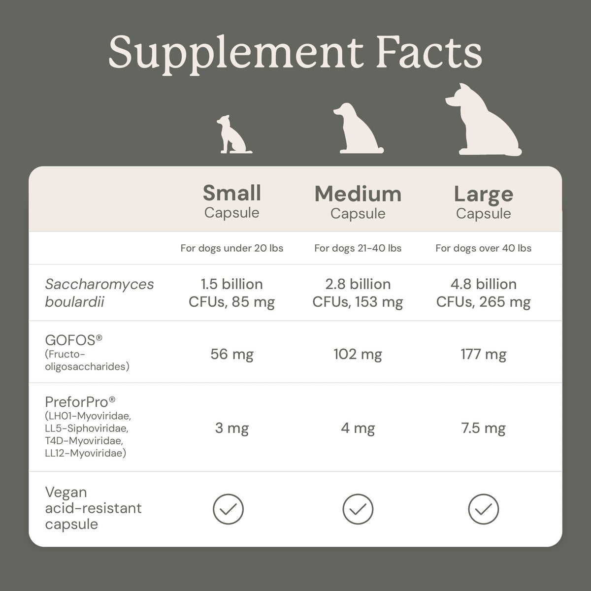 Dog Probiotic Supplement product image 14