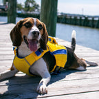 Dog Life Jacket product image 1