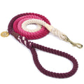 Cotton Rope Dog Leash product image 1