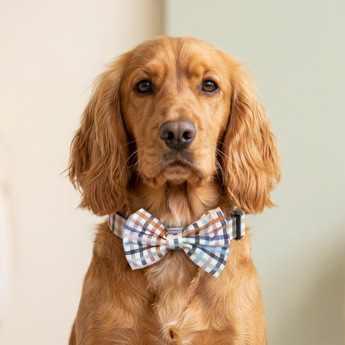 Dog Bow Tie product image 1