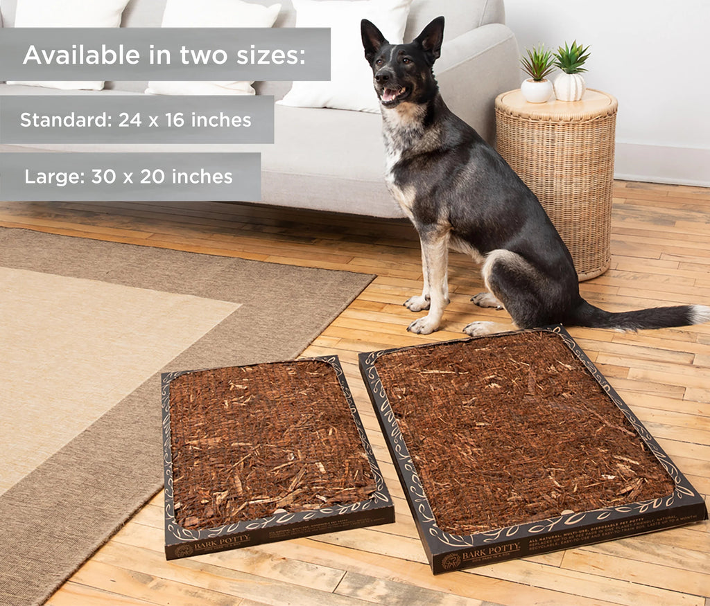 German Shepherd sitting beside two Bark Potty disposable dog potties in standard and large sizes on hardwood flooring.