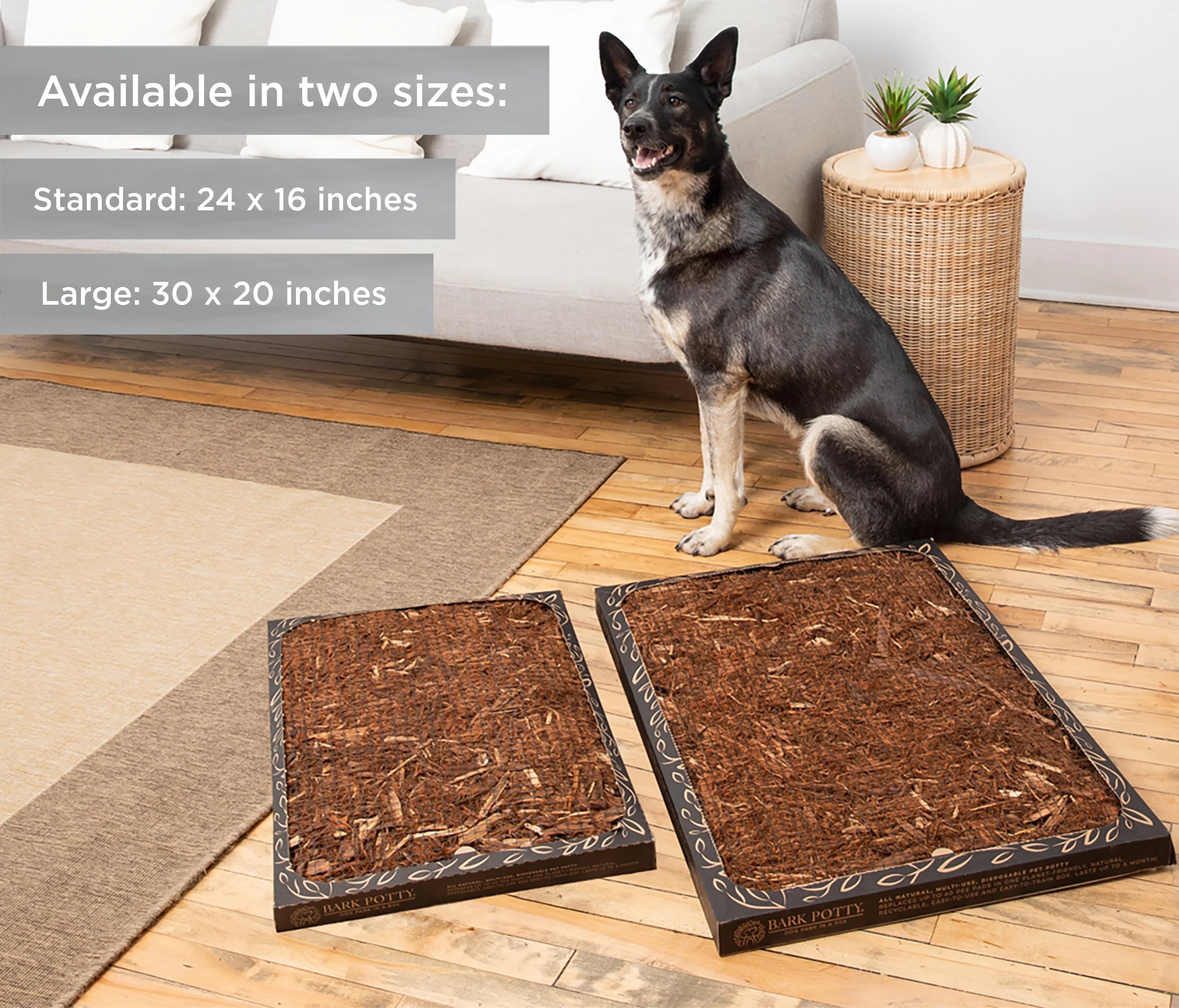 German Shepherd sitting beside two Bark Potty disposable dog potties in standard and large sizes on hardwood flooring.