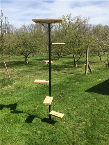 Outdoor Cat Tree product image 8