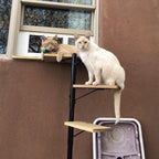 Outdoor Cat Tree product image 13