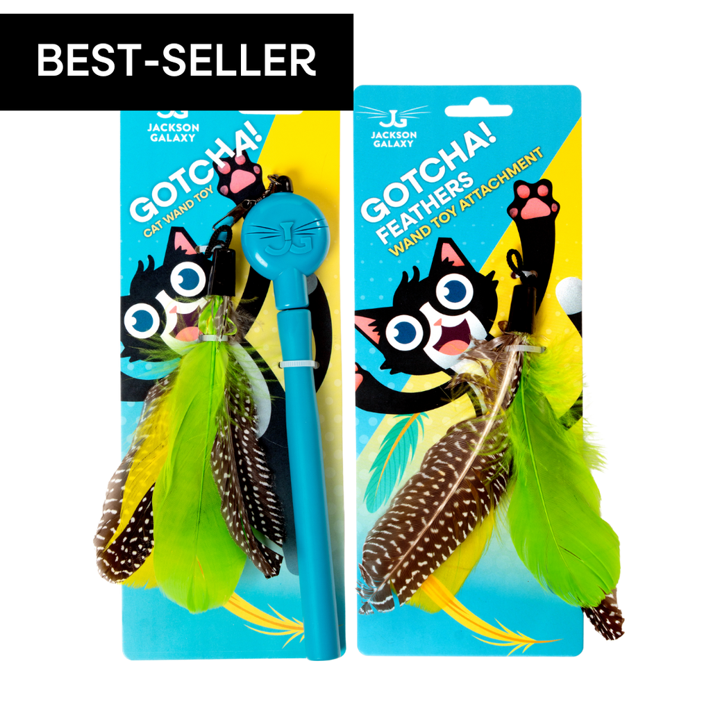 Telescoping Cat Wand Bundle Default Title