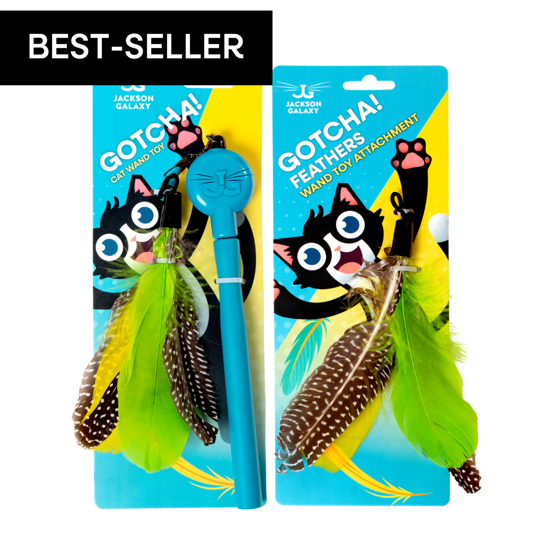 Telescoping Cat Wand Bundle product image 1