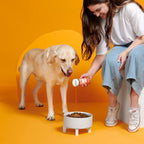 Beef Dog Food Meal Topper product image 4