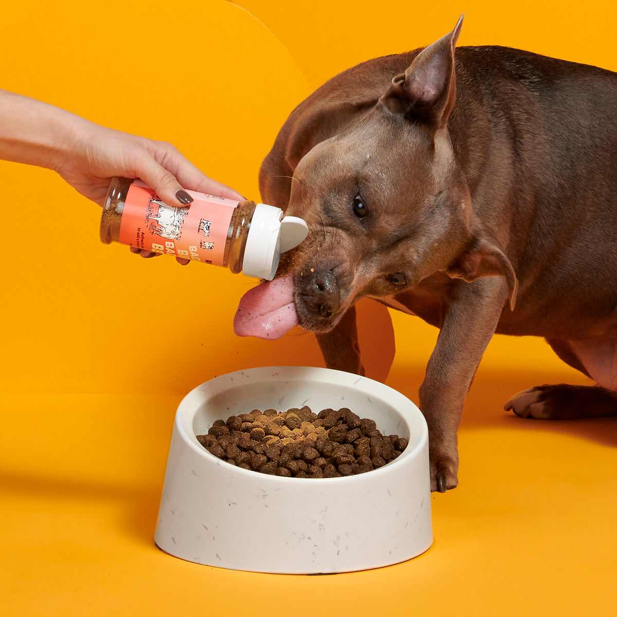Beef Dog Food Meal Topper product image 5