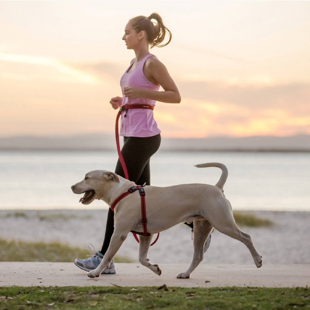 Hands-Free Dog Leash product image 1