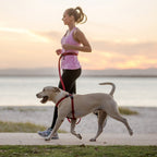Hands-Free Dog Leash product image 1