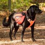 Dog Backpack product image 1