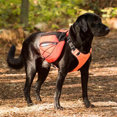 Dog Backpack product image 1
