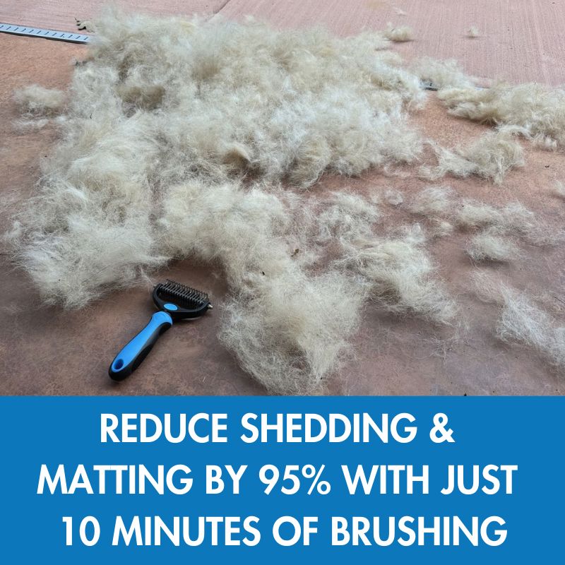 The Original FureverBrush® - Pro Grooming Tool Dog Supplies NuewayPets