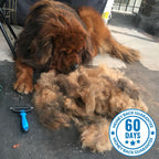 Reduce Shedding With The Original FureverBrush® - Pro Grooming Tool Dog Supplies NuewayPets