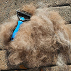 The Original FureverBrush® - Pro Grooming Tool Dog Supplies NuewayPets
