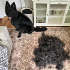 The Original FureverBrush® - Pro Grooming Tool Dog Supplies NuewayPets