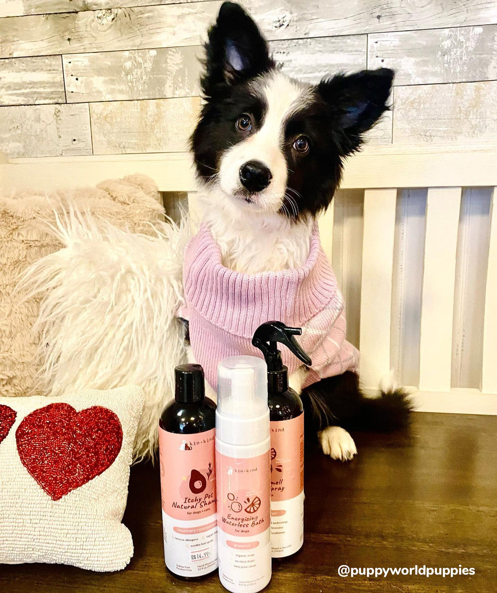 Pet Shampoo product image 8