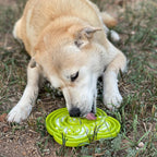 Slow Feeder Bowl product image 8